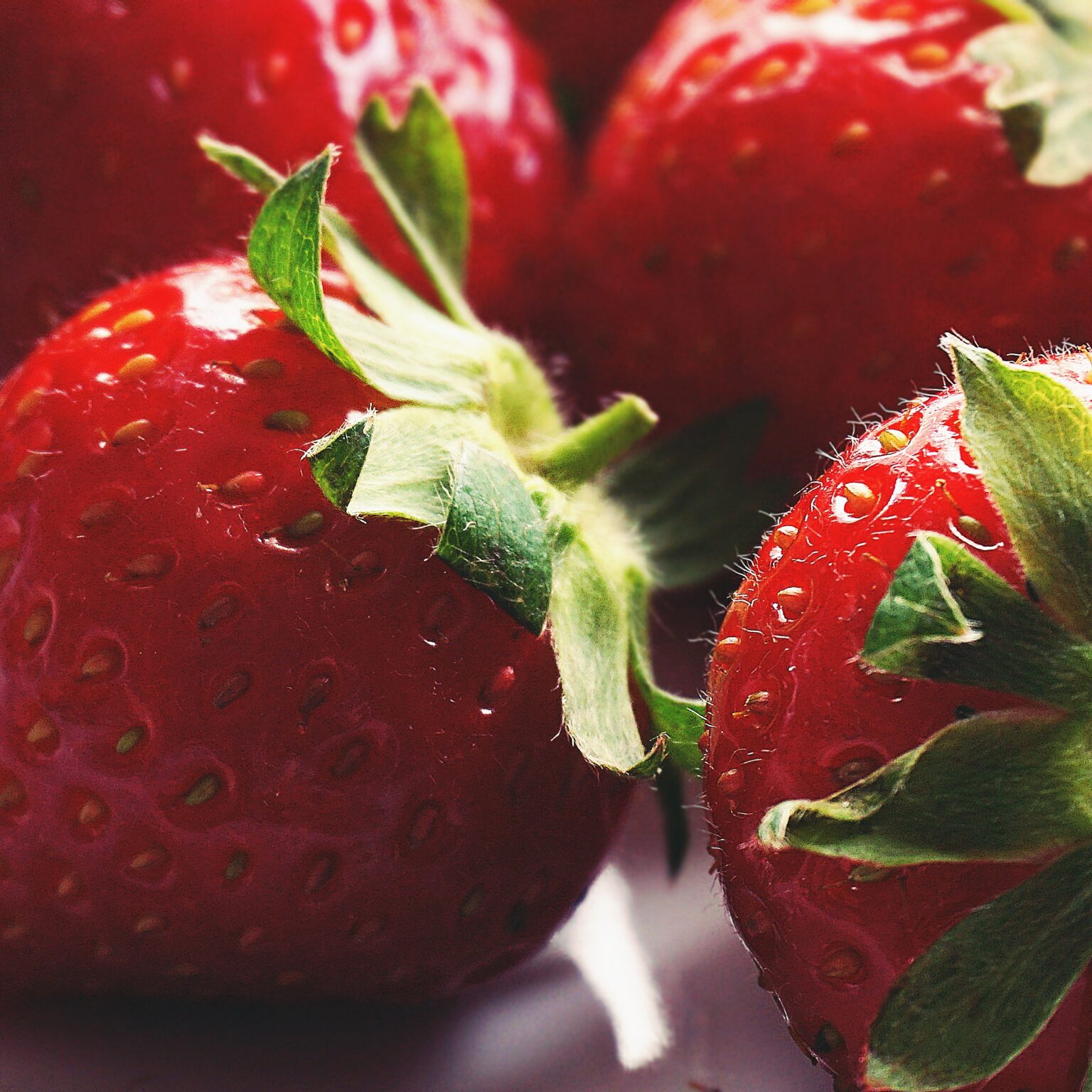 Growing Strawberries at Home