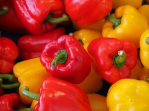 Read more about the article 7 TIPS ON GROWING BELL PEPPERS YEAR ROUND INDOORS